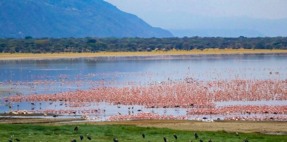 lake-manyara